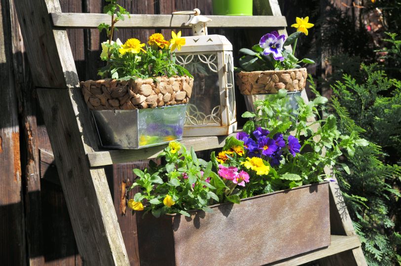Fleurs réalis..jpg