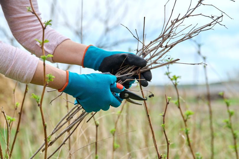 Nettoyage de printemps