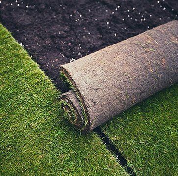 Laying Turf Rolls
